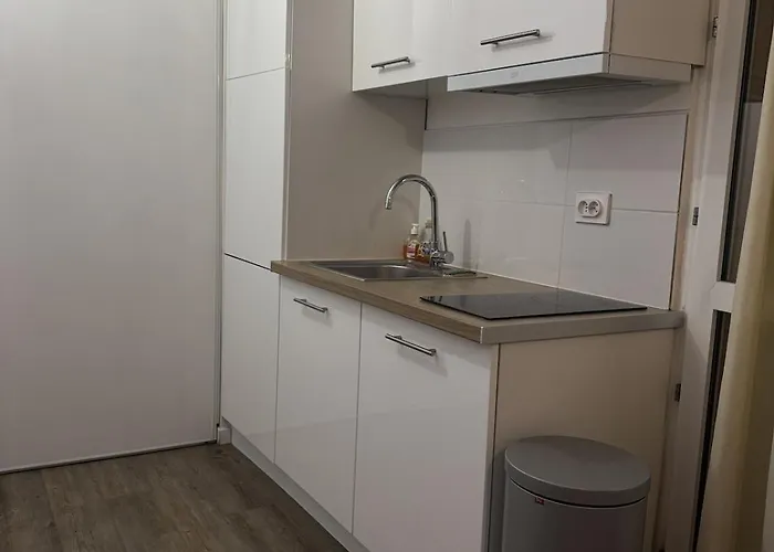 Laurent Du Var, Rue Du Zoo, Avec Piscine Et Parking Apartmán